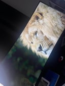 IMG_674f0553bacff_20241203131915765181.jpeg