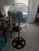 IMG_68aeeaf96c96a_20250827112441444776.jpeg